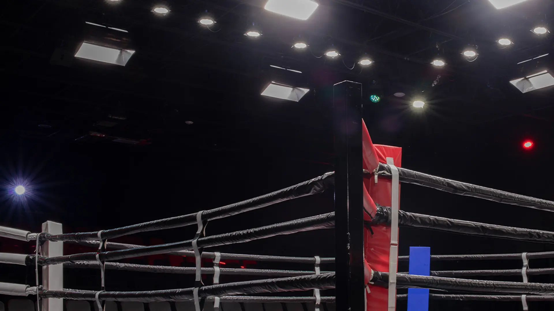 Yordenis Ugas Vs. Manny Pacquiao